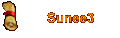 Sunee3