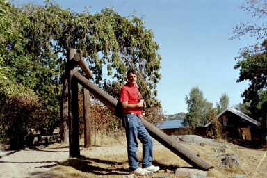 stockh4.jpg